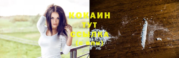 spice Пестово