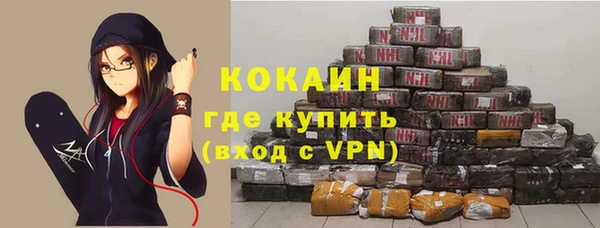 молекула духа Осташков