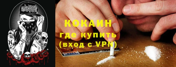 spice Пестово