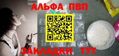 индика Кингисепп