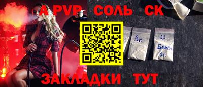 индика Кингисепп