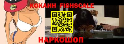 индика Кингисепп