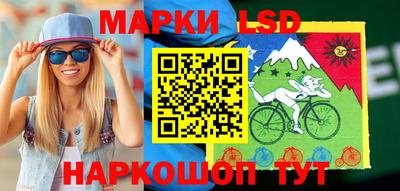индика Кингисепп