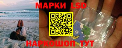 индика Кингисепп