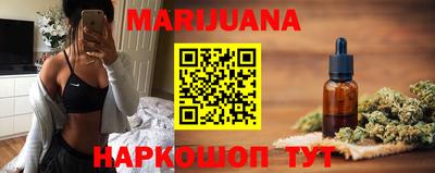 индика Кингисепп