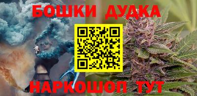 индика Кингисепп