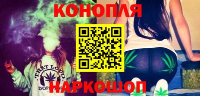 индика Кингисепп