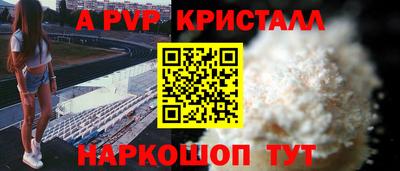 индика Кингисепп