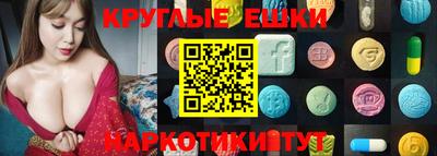 индика Кингисепп