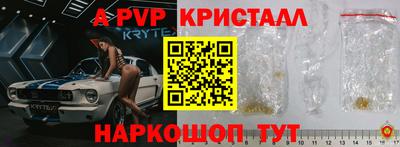 индика Кингисепп