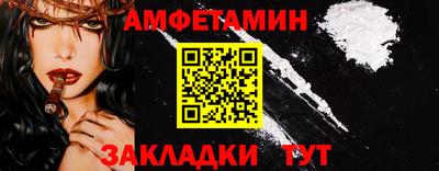 индика Кингисепп