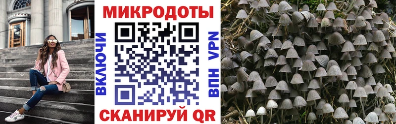 купить наркотики цена  Курчалой  OMG как войти  Псилоцибиновые грибы ЛСД 