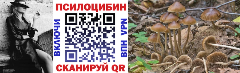 Галлюциногенные грибы мухоморы Курчалой