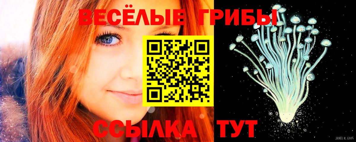 Галлюциногенные грибы прущие грибы  Вход с VPN  Курчалой 